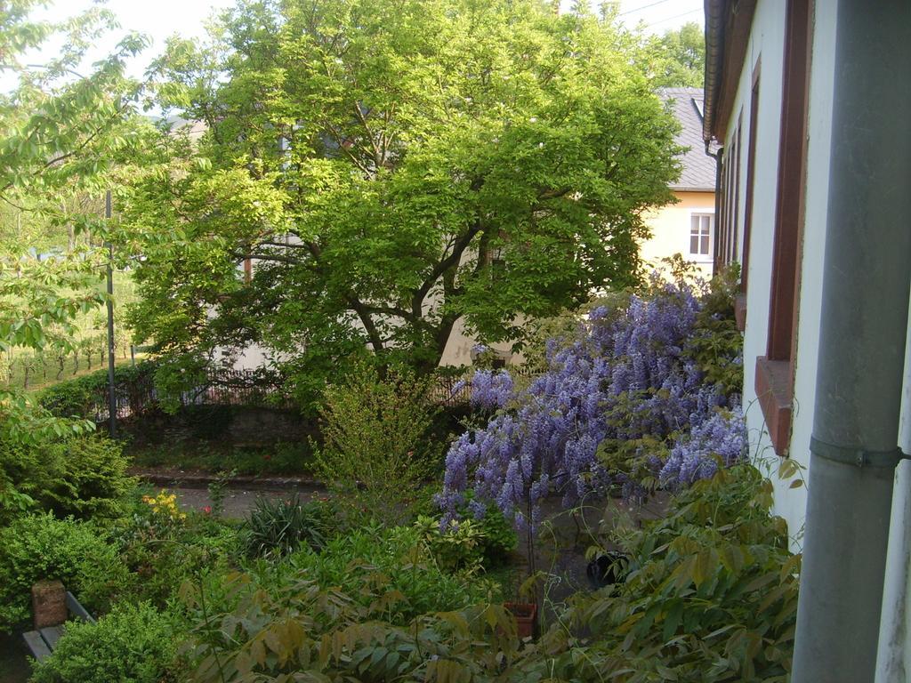 Appartement Jungling *